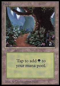 Forest (V.2) - Alpha (Land)
