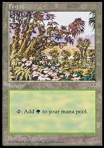 Forest (V.4) - Mirage (Land)