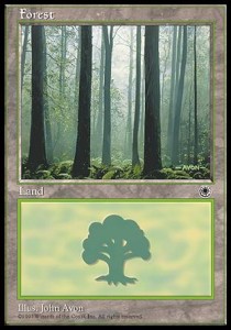 Forest (V.3)⁣ - Portal⁣ (Land)