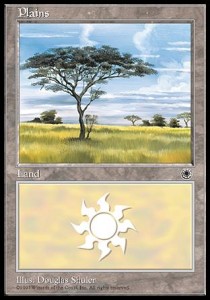 Plains (V.3)⁣ - Portal⁣ (Land)