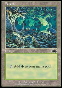Forest (V.1)⁣ - Urza's Saga⁣ (Land)⁣ [347]
