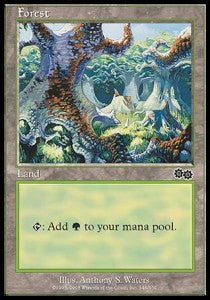 Forest (V.2)⁣ - Urza's Saga⁣ (Land)⁣ [348]