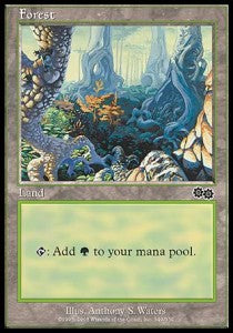 Forest (V.3)⁣ - Urza's Saga⁣ (Land)⁣ [349]