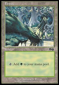 Forest (V.4)⁣ - Urza's Saga⁣ (Land)⁣ [350]