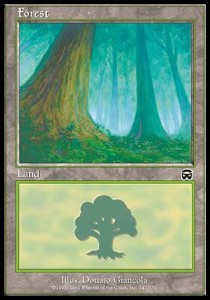 Forest (V.1)⁣ - Mercadian Masques⁣ (Land)⁣ [347]