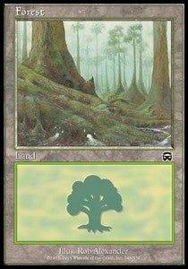 Forest (V.2)⁣ - Mercadian Masques⁣ (Land)⁣ [348]