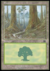 Forest (V.3)⁣ - Mercadian Masques⁣ (Land)⁣ [349]