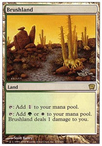 Brushland⁣ - Ninth Edition⁣ (Rare)⁣ [319]
