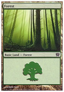 Forest (V.2)⁣ - Ninth Edition⁣ (Land)⁣ [348]