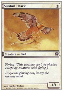 Suntail Hawk⁣ - Ninth Edition⁣ (Common)⁣ [49]