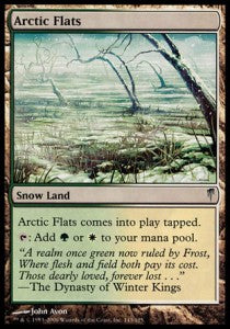 Arctic Flats⁣ - Coldsnap⁣ (Uncommon)⁣ [143]