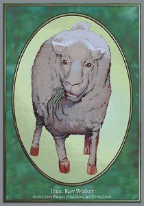 Sheep Token⁣ - Unglued⁣ (Token)