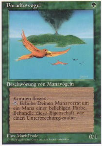 Birds of Paradise⁣ - Foreign White Bordered⁣ (Rare)