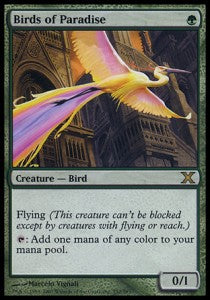 Birds of Paradise⁣ - Tenth Edition⁣ (Rare)⁣ [252]