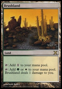 Brushland⁣ - Tenth Edition⁣ (Rare)⁣ [349]
