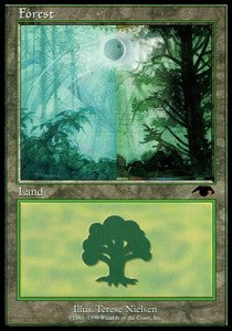 Forest⁣ - Guru Lands⁣ (Land)⁣ [1]