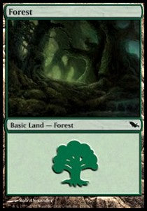 Forest (V.2)⁣ - Shadowmoor⁣ (Land)⁣ [299]