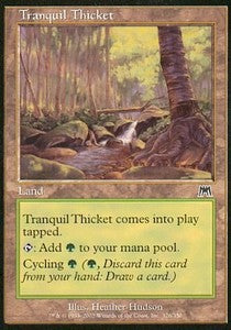 Tranquil Thicket⁣ - Onslaught⁣ (Common)⁣ [326]