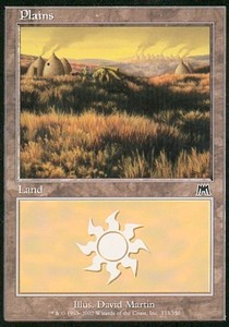 Plains (V.3)⁣ - Onslaught⁣ (Land)⁣ [333]