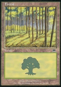 Forest (V.4)⁣ - Onslaught⁣ (Land)⁣ [350]