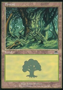 Forest (V.2)⁣ - Onslaught⁣ (Land)⁣ [348]