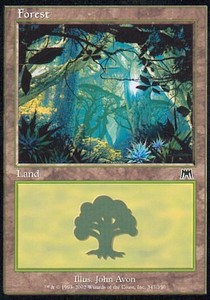 Forest (V.1)⁣ - Onslaught⁣ (Land)⁣ [347]