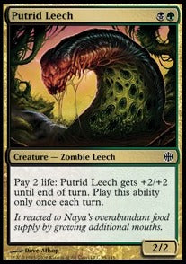 Putrid Leech⁣ - Alara Reborn⁣ (Common)⁣ [95]