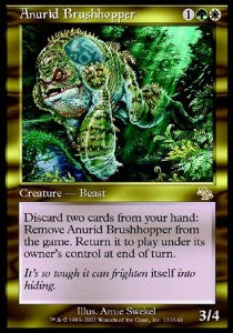 Anurid Brushhopper⁣ - Judgment⁣ (Rare)⁣ [137]