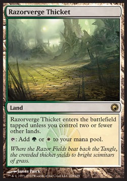 Razorverge Thicket⁣ - Scars of Mirrodin⁣ (Rare)⁣ [228]