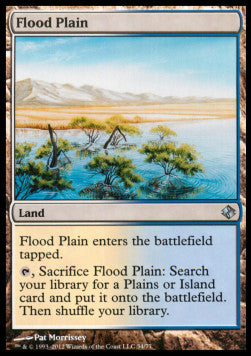 Flood Plain⁣ - Duel Decks: Venser vs. Koth⁣ (Uncommon)⁣ [34]