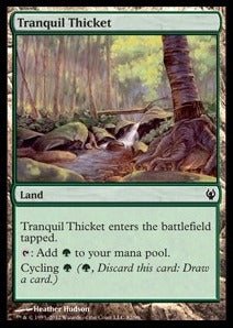 Tranquil Thicket⁣ - Duel Decks: Izzet vs. Golgari⁣ (Common)⁣ [82]