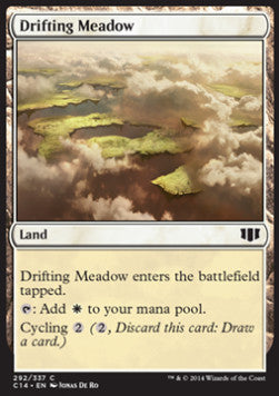 Drifting Meadow⁣ - Commander 2014⁣ (Common)⁣ [292]