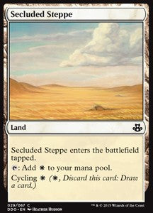 Secluded Steppe⁣ - Duel Decks: Elspeth vs. Kiora⁣ (Common)⁣ [29]