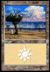 Plains (V.3)⁣ - Odyssey⁣ (Land)⁣ [333]