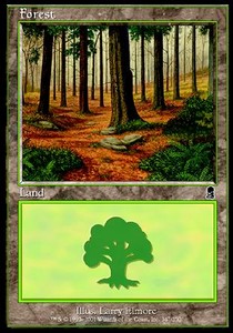 Forest (V.1)⁣ - Odyssey⁣ (Land)⁣ [347]