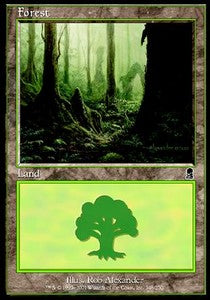 Forest (V.2)⁣ - Odyssey⁣ (Land)⁣ [348]