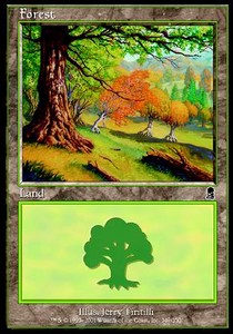 Forest (V.3)⁣ - Odyssey⁣ (Land)⁣ [349]