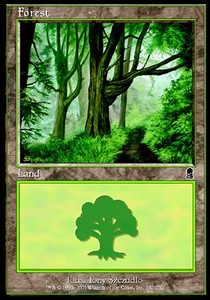 Forest (V.4)⁣ - Odyssey⁣ (Land)⁣ [350]