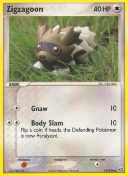 Zigzagoon⁣ - EX Emerald⁣ (Common)⁣ [74]