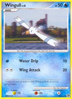 Wingull Lv.6⁣ - Great Encounters⁣ (Common)⁣ [95]