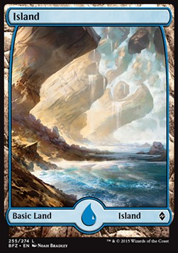 Island (V.1)⁣ - Battle for Zendikar⁣ (Land)⁣ [255]