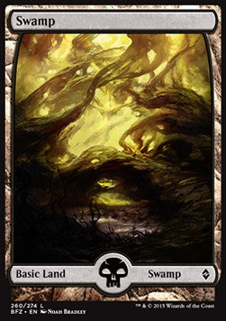 Swamp (V.1)⁣ - Battle for Zendikar⁣ (Land)⁣ [260]