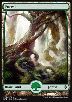 Forest (V.1)⁣ - Battle for Zendikar⁣ (Land)⁣ [270]
