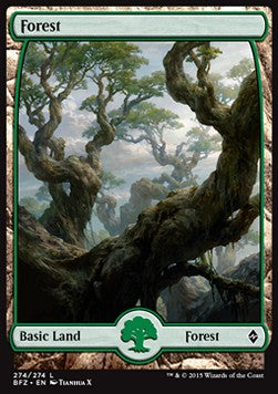 Forest (V.9)⁣ - Battle for Zendikar⁣ (Land)⁣ [274]