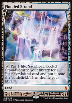 Flooded Strand⁣ - Zendikar Expeditions⁣ (Masterpiece)⁣ [16]