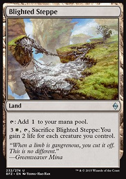 Blighted Steppe⁣ - Battle for Zendikar⁣ (Uncommon)⁣ [232]