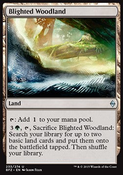 Blighted Woodland⁣ - Battle for Zendikar⁣ (Uncommon)⁣ [233]