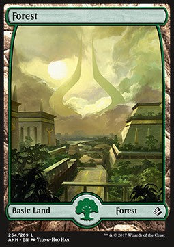 Forest (V.1)⁣ - Amonkhet⁣ (Land)⁣ [254]