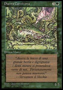 Carnivorous Plant⁣ - The Dark Italian⁣ (Common)