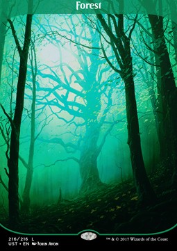 Forest⁣ - Unstable⁣ (Land)⁣ [216]